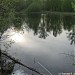 Болотно-лесной пруд в городе Долгопрудный