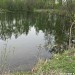 Болотно-лесной пруд в городе Долгопрудный