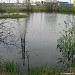 Болотно-лесной пруд в городе Долгопрудный