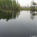 Болотно-лесной пруд в городе Долгопрудный