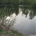 Болотно-лесной пруд в городе Долгопрудный