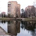 Перловский пруд в городе Мытищи