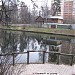 Перловский пруд в городе Мытищи