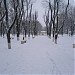 Ефремовский сквер в городе Армавир