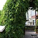 Ресторан «Нон-Стоп» в городе Киев