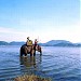 Hồ Lắk -  Lak Lake