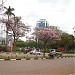 Stanbic Bank Towers (Crested Towers) in Kampala city