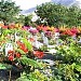 Italian War Cemetery in Keren مدينة كرن الخضراء - اقليم عنسبا - اريتريا - ERITERA city