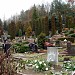 Rokantiškių kapinės