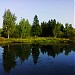 Пруд Финка в городе Ашукино