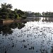 용지 in Gwangju city