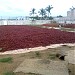 Dundappa Kabbur Industries