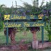 Cabbage Tree Island