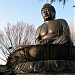 Great Buddha of Tokyo (Tokyo Daibutsu)