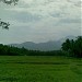 Silent Valley National Park, Kerala
