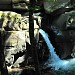 Waterfall Partysan (Davir)