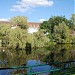 садок для лебедей в городе Виттенберг