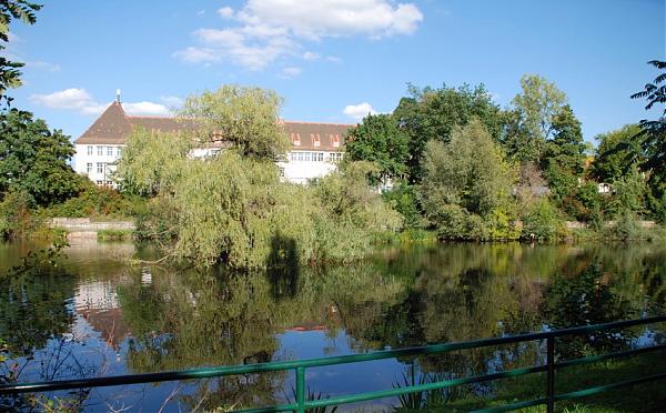 Schwanenteich Lutherstadt Wittenberg