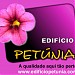Empreendimento Edifício Petúnia na Amadora city