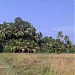Mahesh Pednekar (HOUSE) in Achra city