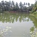 Maaranparambu kulam, Nadutheri