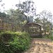 Naspatiline Nursery, Mungpoo. in Mungpoo city