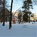 Park in Opole city