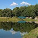 Пруд возле лесопарка в городе Лениногорск