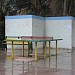 Miz_Pingpong1 in Ahvaz city