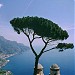 Ravello