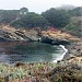 Point Lobos State Natural Reserve