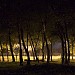 Park Stari grad in Шабац city