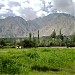 mohla haider abad shagari kalan skardu by zakir hussain and ehsan ali in Skardu city