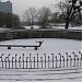 Технические фонтаны в городе Калининград