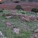 Punic temple of Antas