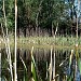 Park-šuma Adica / Adica Park-forest