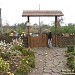 Пасека имени Петра Прокоповича (ru) in Baturyn city
