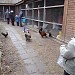 Биостанция «Птичий сад» в городе Москва