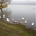 Liepāja lake