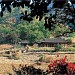 圓明寺