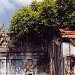 virakaththi pilaiyar temple in Mullaitivu city