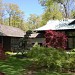 Japanese Tea House from Walden in Lake Forest, Illinois city
