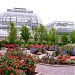 United States Botanic Garden (Conservatory)