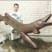 Памятник щуке в городе Кременчуг