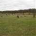 Стрельбище в городе Северск