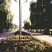 Avenue (allée) with flower beds