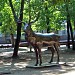 Sculpture of a bronze deer in Smolensk city