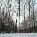 Сквер «Окский» в городе Коломна