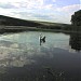 Yanivske reservoir