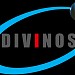 Divinos IT Solutions in Hyderabad city